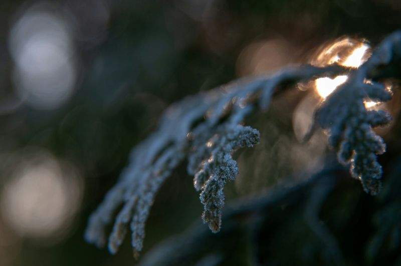 エコライフジャパン株式会社 - Image 15