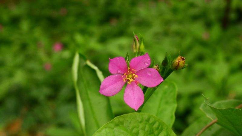 エコライフジャパン株式会社 - Image 5